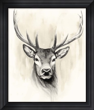 Framed Timberland Animals I Print