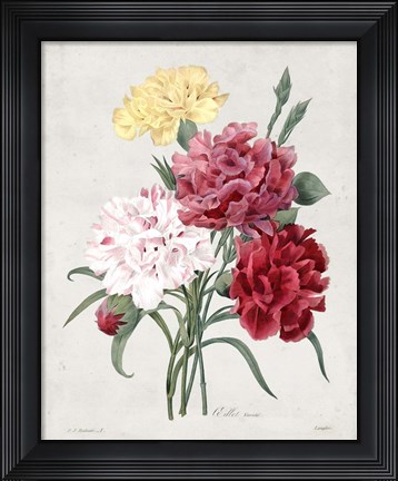 Framed Bouquet I Print