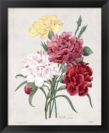 Framed Bouquet I Print