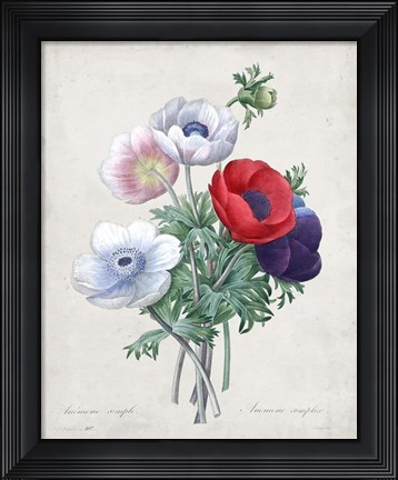Framed Bouquet II Print