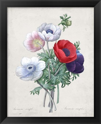 Framed Bouquet II Print