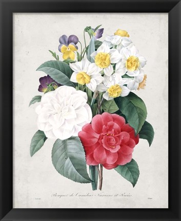 Framed Bouquet III Print