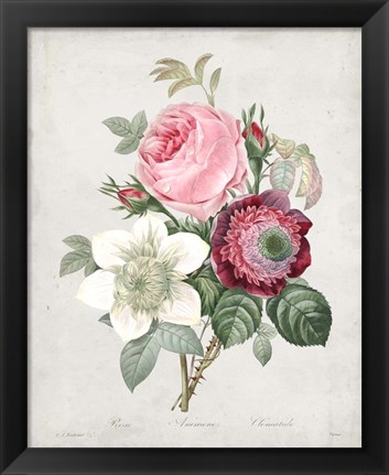 Framed Bouquet IV Print