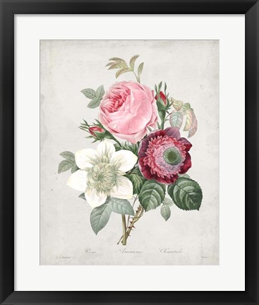 Framed Bouquet IV Print