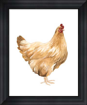 Framed Autumn Chicken I Print