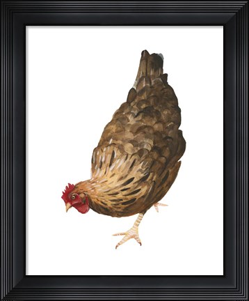 Framed Autumn Chicken II Print