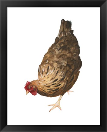 Framed Autumn Chicken II Print