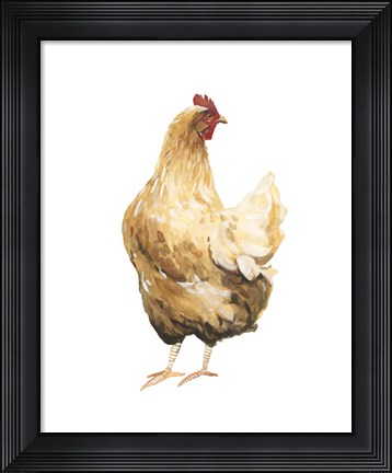 Framed Autumn Chicken III Print