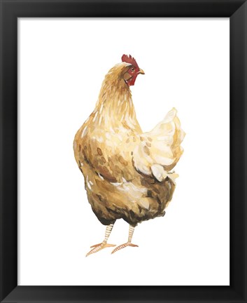 Framed Autumn Chicken III Print