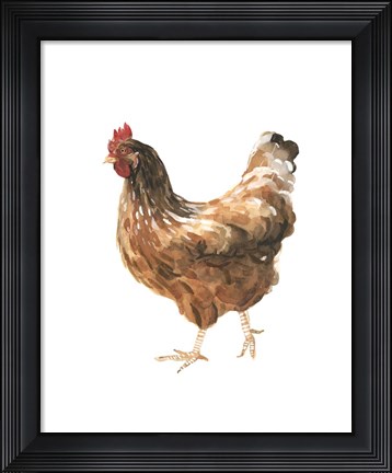 Framed Autumn Chicken IV Print