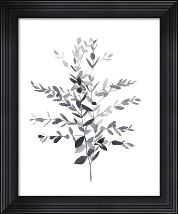 Framed Paynes Grey Botanicals II Print