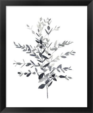 Framed Paynes Grey Botanicals II Print