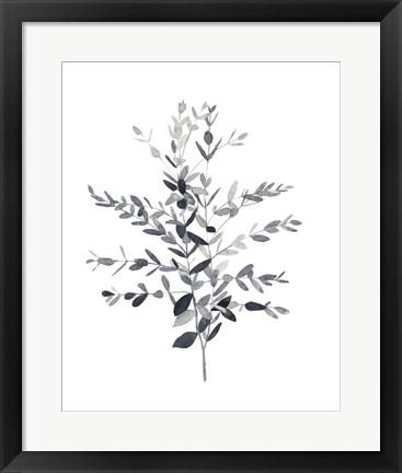 Framed Paynes Grey Botanicals II Print