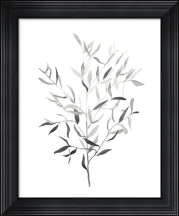 Framed Paynes Grey Botanicals III Print