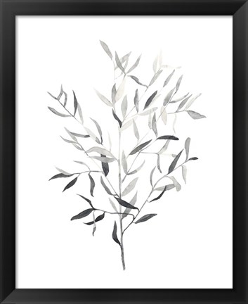 Framed Paynes Grey Botanicals III Print