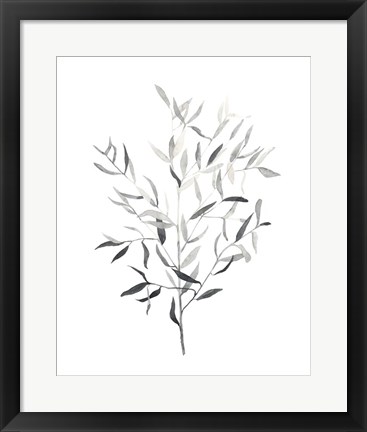 Framed Paynes Grey Botanicals III Print