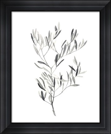 Framed Paynes Grey Botanicals IV Print