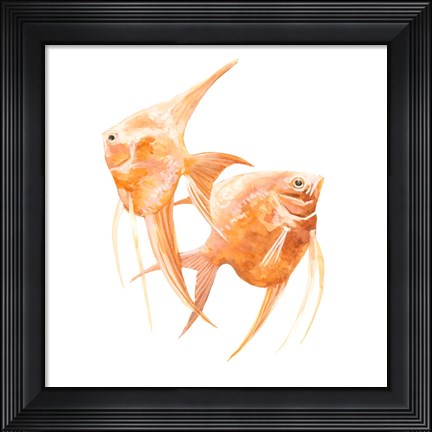 Framed Discus Fish IV Print