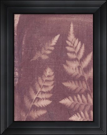 Framed Botanical Sun I Print