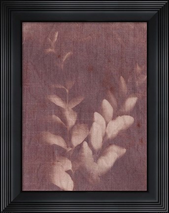 Framed Botanical Sun II Print