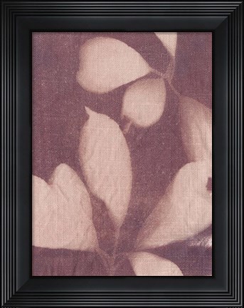 Framed Botanical Sun III Print
