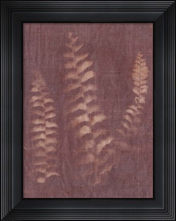 Framed Botanical Sun IV Print