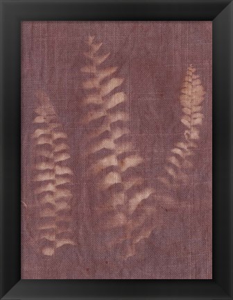 Framed Botanical Sun IV Print