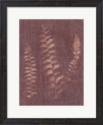 Framed Botanical Sun IV Print