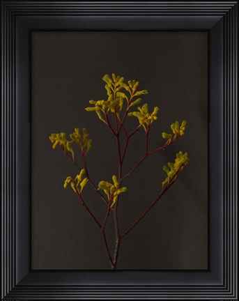 Framed Dark &amp; Dreamy IV Print
