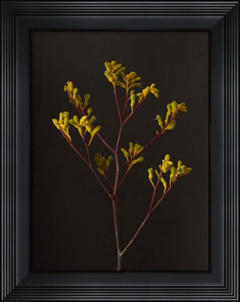 Framed Dark &amp; Dreamy V Print