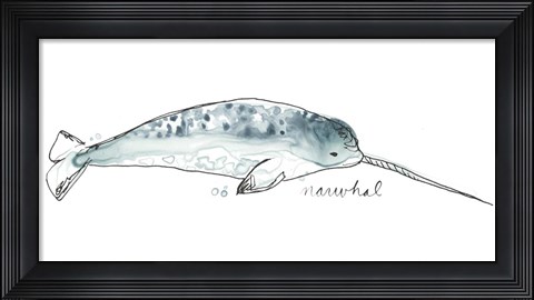 Framed Cetacea Narwhal Print