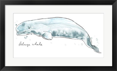 Framed Cetacea Beluga Whale Print