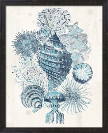 Framed Coastal Melange II Print