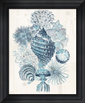 Framed Coastal Melange II Print