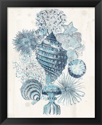 Framed Coastal Melange II Print