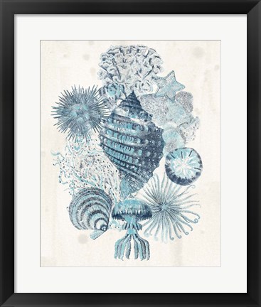 Framed Coastal Melange II Print