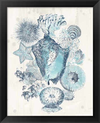 Framed Coastal Melange III Print