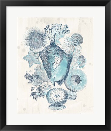 Framed Coastal Melange III Print