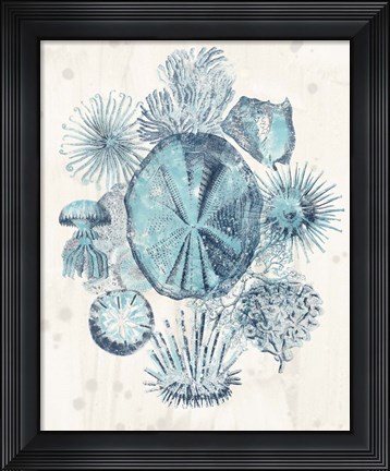 Framed Coastal Melange IV Print