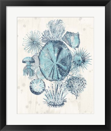 Framed Coastal Melange IV Print