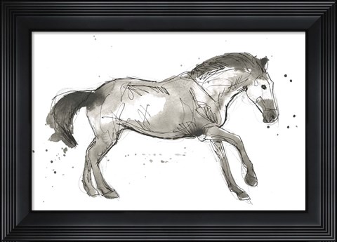 Framed Equine Impressions I Print