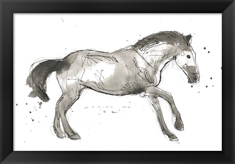 Framed Equine Impressions I Print