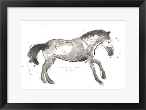 Framed Equine Impressions I Print