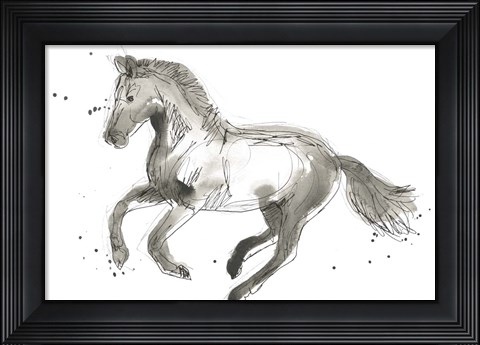 Framed Equine Impressions II Print