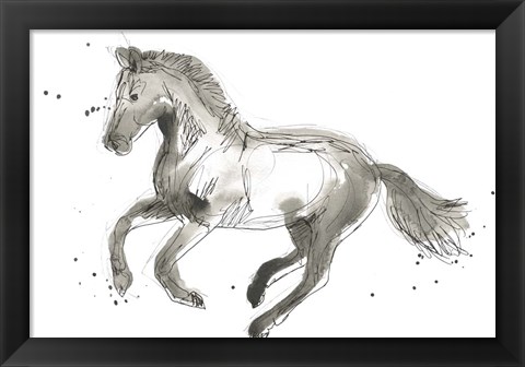 Framed Equine Impressions II Print