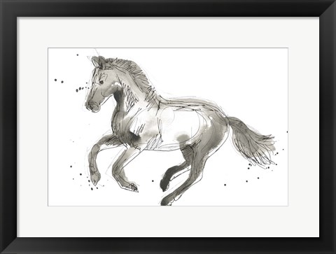 Framed Equine Impressions II Print