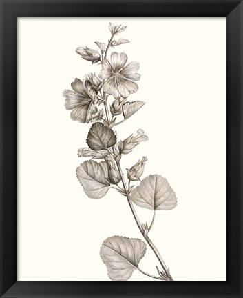 Framed Neutral Botanical Study I Print