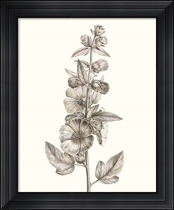 Framed Neutral Botanical Study V Print
