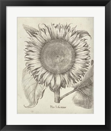 Framed Fresco Sunflower I Print