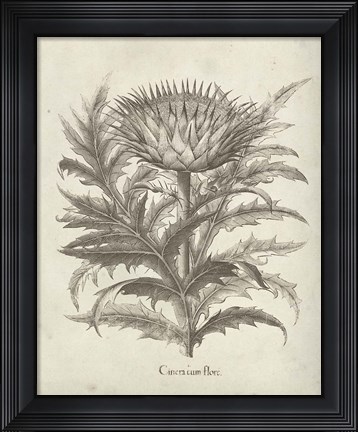 Framed Fresco Artichoke I Print